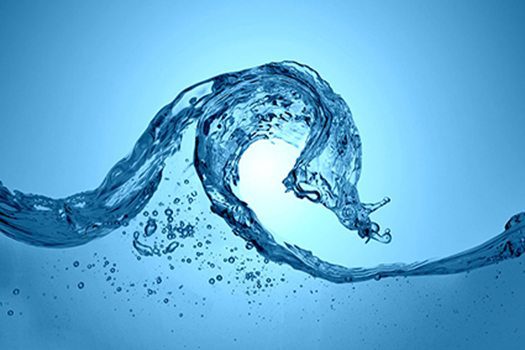 what is hydro-action